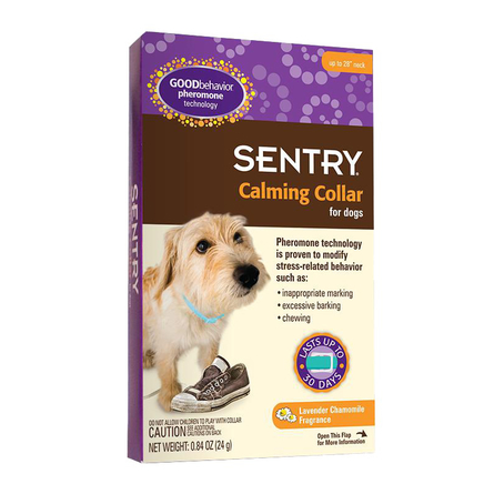 Sentry Calming Collar Ошейник для собак успокаивающий с феромонами, 1 шт – интернет-магазин Ле’Муррр
