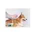 АВЗ Барс капли инсектоакарицидные для собак от 10 до 20 кг 1 пипетка/1,34 мл – интернет-магазин Ле’Муррр