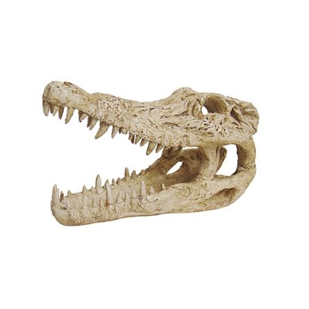 ArtUniq Crocodile Skull Искусственная декорация Череп крокодила - фото 1