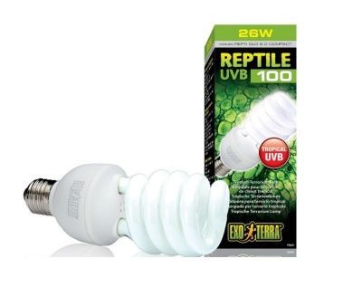 Hagen Repti Glo 5.0 Compact Лампа для тропического террариума, Т10/26 Вт – интернет-магазин Ле’Муррр