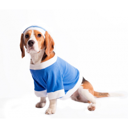 Yoriki Снегурочка Пуловер для собак, голубой, унисекс