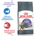 Royal Canin Appetite Control Care Сухой корм для взрослых кошек для поддержания оптимального веса – интернет-магазин Ле’Муррр