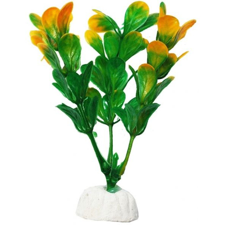 УЮТ Растение аквариумное Бакопа зелено-желтая - фото 1