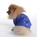 YORIKI Дождевик для собак синий мальчик, размер S – интернет-магазин Ле’Муррр