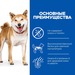 Hill’s Science Plan NO GRAIN Сухой беззлаковый корм для взрослых собак средних пород – интернет-магазин Ле’Муррр