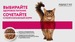 PERFECT FIT Пауч для стерилизованных кошек, кролик в соусе – интернет-магазин Ле’Муррр