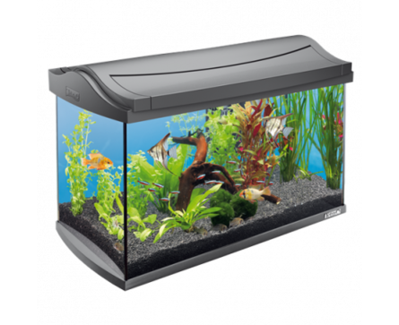 Tetra AquaArt 60l LED Goldfish Аквариум – интернет-магазин Ле’Муррр