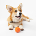 Barq - Runner Ball Мячик для собак, Оранжевый – интернет-магазин Ле’Муррр