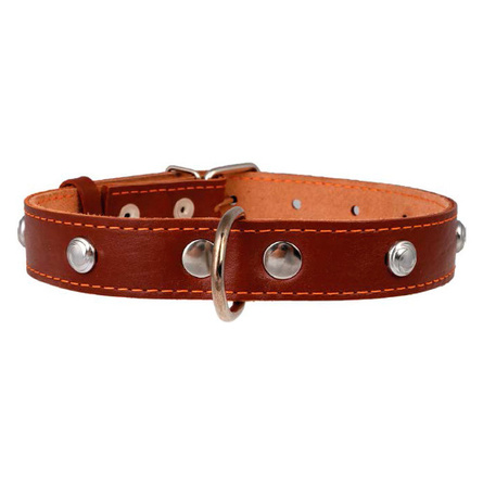 Collar Ошейник для собак двойной, с украшением, ширина 1,4 см, длина 27-35 см, коричневый - фото 1