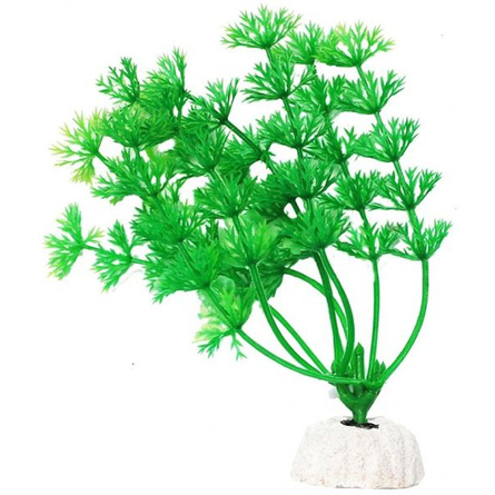 УЮТ Растение аквариумное Амбулия зеленая - фото 1