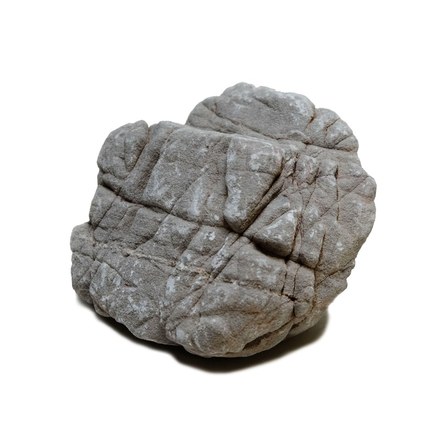 UDeco Elephant Stone M Натуральный камень Слон для аквариумов и террариумов, 1-2 кг - фото 1