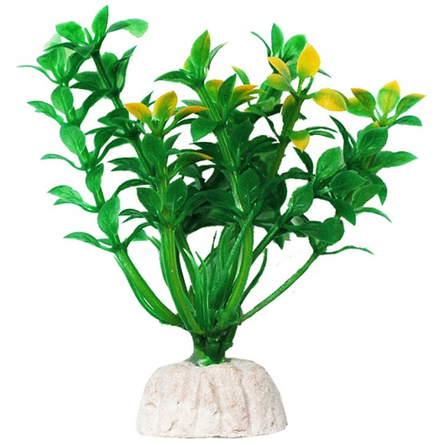 УЮТ Растение аквариумное Гемиантус зелено-желтый - фото 1