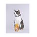 АВЗ Луговой зоошампунь инсектицидный для кошек, 180 мл – интернет-магазин Ле’Муррр