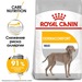 Royal Canin Maxi Dermacomfort Сухой корм для взрослых собак крупных пород для чувствительной кожи и шерсти – интернет-магазин Ле’Муррр