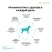 Premier Adult Lamb Med Ягненок с индейкой для собак средних пород – интернет-магазин Ле’Муррр