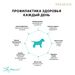 Premier Puppy Turkey Индейка для щенков всех пород – интернет-магазин Ле’Муррр