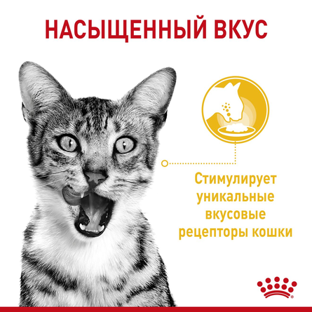 Royal Canin Sensory™Корм консервированный полнорационный для взрослых кошек (в возрасте от 1 года до 7 лет), стимулирующий вкусовые рецепторы, кусочки в соусе, 85 гр - фото 1