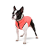 AiryVest Курточка двухсторонняя, размер XS 30, кораллово-серая – интернет-магазин Ле’Муррр