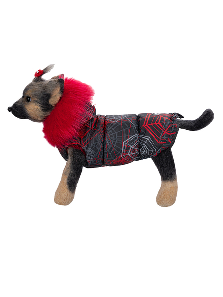 DogModa Аляска Паутинка Куртка для собак, девочка, 4 – интернет-магазин Ле’Муррр