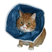 Kruuse Защитный воротник для кошек и маленьких собак, мягкий – интернет-магазин Ле’Муррр