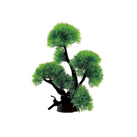 ArtUniq Riccia on bonsai 24 Риччия на бонсае - фото 1