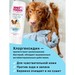 Wellroom Антибактериальный шампунь для кошек и собак с хлоргексидином – интернет-магазин Ле’Муррр