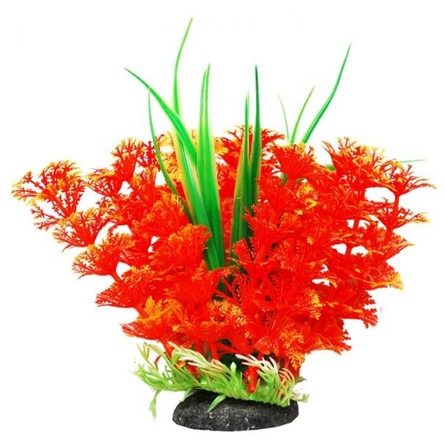 УЮТ Растение аквариумное Амбулия оранжевая с кружевными листьями