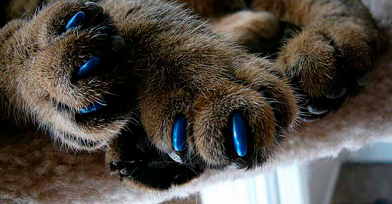 силиконовые накладки на когти для кошек