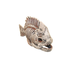 DekSi Грот Скелет рыбы, 33х14х22см – интернет-магазин Ле’Муррр