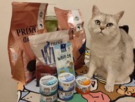 Пользовательская фотография №1 к отзыву на PRIME ADULT STERILIZED Сухой корм для стерилизованных кошек, с курицей