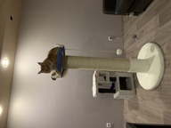 Пользовательская фотография №2 к отзыву на Saival Kiruna Mega Когтеточка-комплекс для кошек, белый/голубой, джут