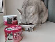 Пользовательская фотография №3 к отзыву на NUTRI PLAN Тунец ЗДОРОВАЯ КОЖА в собственном соку для кошек 