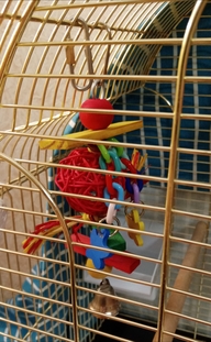 Пользовательская фотография №1 к отзыву на TRIOL Игрушка для птиц-подвеска 
