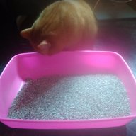 Пользовательская фотография №1 к отзыву на Fresh Step Тройная защита от запаха Впитывающий глиняный наполнитель для кошек (с активированным углем)