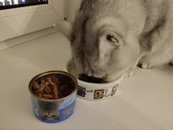 Пользовательская фотография №7 к отзыву на NUTRI PLAN Консервированный корм для кошек, тунец с крилем в собственном соку 