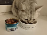 Пользовательская фотография №4 к отзыву на NUTRI PLAN Тунец ИНТЕСТИНАЛ и УРИНАРИ в собственном соку для кошек