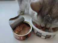 Пользовательская фотография №1 к отзыву на NUTRI PLAN DISH корм для кошек белый тунец с лососем в бульоне