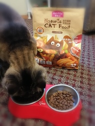 Пользовательская фотография №9 к отзыву на MYFOODIE Natural CAT Food GF Hair Care Сухой корм для кошек уход за шерстью, курица, лосось