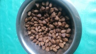 Пользовательская фотография №1 к отзыву на Grandorf Rabbit & Rice Adult Sterilized Сухой корм для взрослых стерилизованных кошек (с кроликом и рисом)