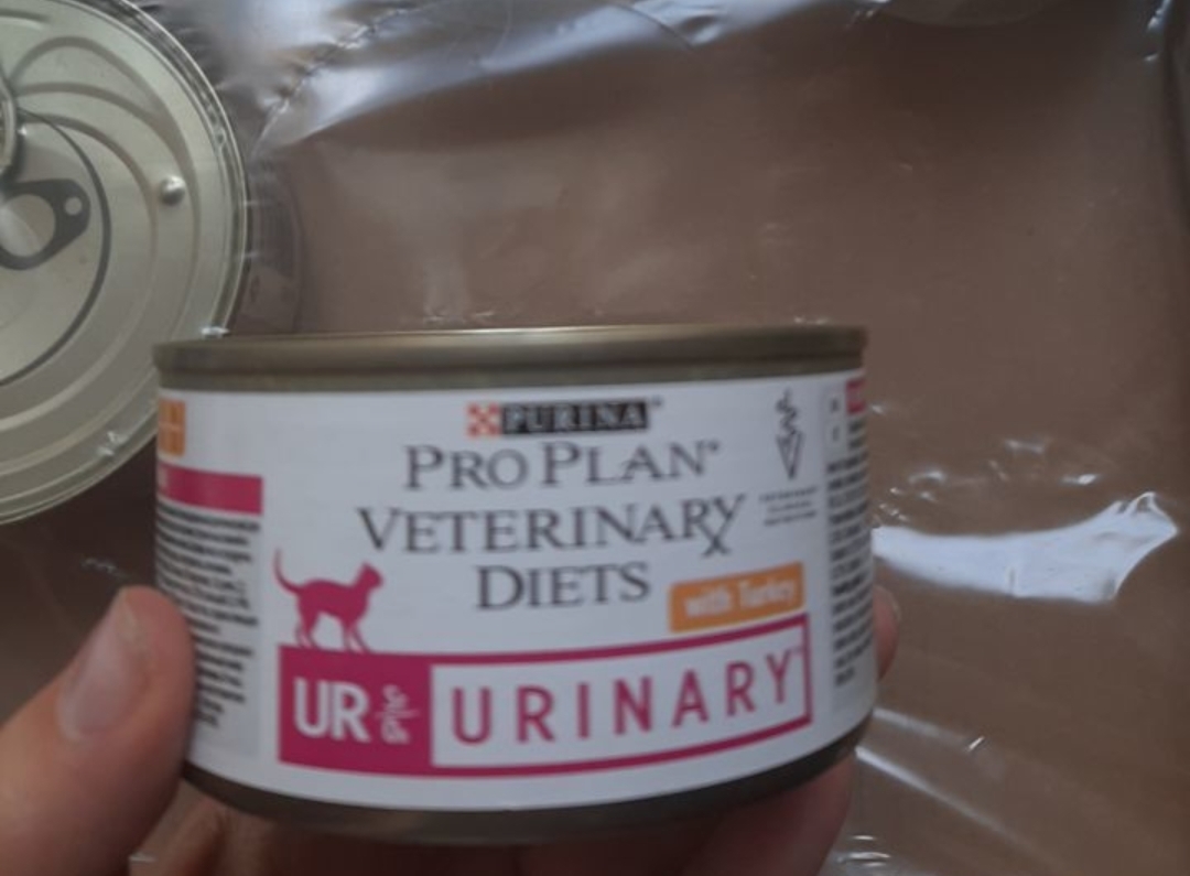 Влажный корм для кошек диетический PRO PLAN® VETERINARY DIETS UR ST/OX  Urinary при болезнях нижних отделов мочевыводящих путей, паштет, 210 гр,  арт. 24.4631 купить с доставкой - цены интернет-магазина ЛеМуррр