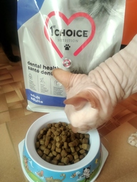 Пользовательская фотография №2 к отзыву на 1st CHOICE DENTAL Сухой корм для взрослых кошек (с курицей)