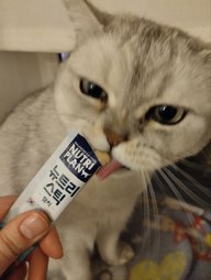 Пользовательская фотография №9 к отзыву на NUTRI PLAN Лакомство для кошек, пюре с тунцом и лососем