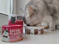 Пользовательская фотография №9 к отзыву на NUTRI PLAN Тунец с лососем в собственном соку для кошек 